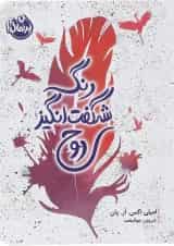 کتاب رنگ شگفت انگیز روح