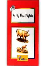 A pig has piglets Jolly Readers Red Level