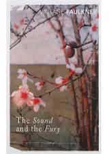 کتاب Sound and the Fury