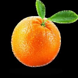واقع گرا انتشارات پرتقال