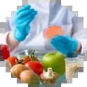 هنر آموز صنایع غذایی