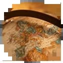 علوم سیاسی علوم سیاسی