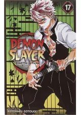 Demon Slayer 17 Manga