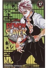 Demon Slayer 17 Manga