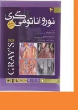 کتاب نورو آناتومی گری جلد 4