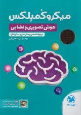 میکرو کمپلکس هوش تصویری و فضایی مهروماه