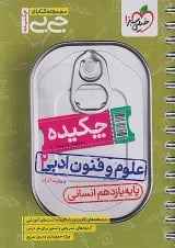 جیبی چکیده علوم و فنون ادبی 2 یازدهم خیلی سبز