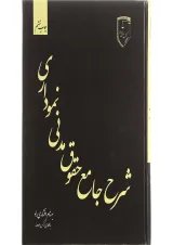 کتاب شرح جامع حقوق مدنی نموداری