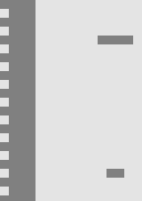 Thumbnail 1 Thumbnail 1