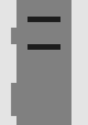Thumbnail 1 Thumbnail 1