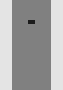 Thumbnail 0 Thumbnail 0