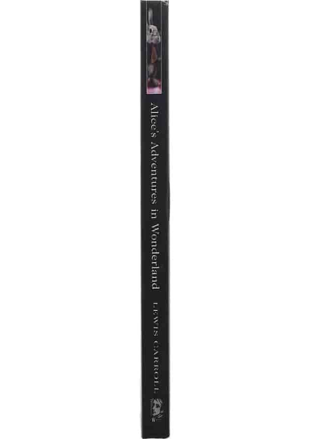 کتاب Alices Adventures in Wonderland and Through The Looking Glass کتاب Alices Adventures in Wonderland and Through The Looking Glass