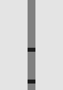 Thumbnail 2 Thumbnail 2