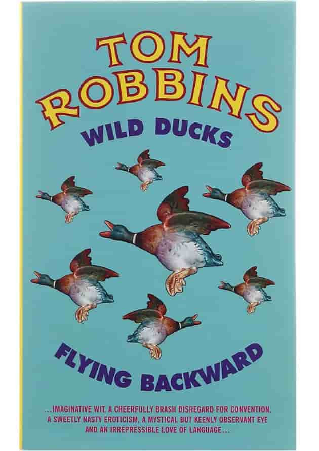 Wild Ducks Flying Backward Wild Ducks Flying Backward