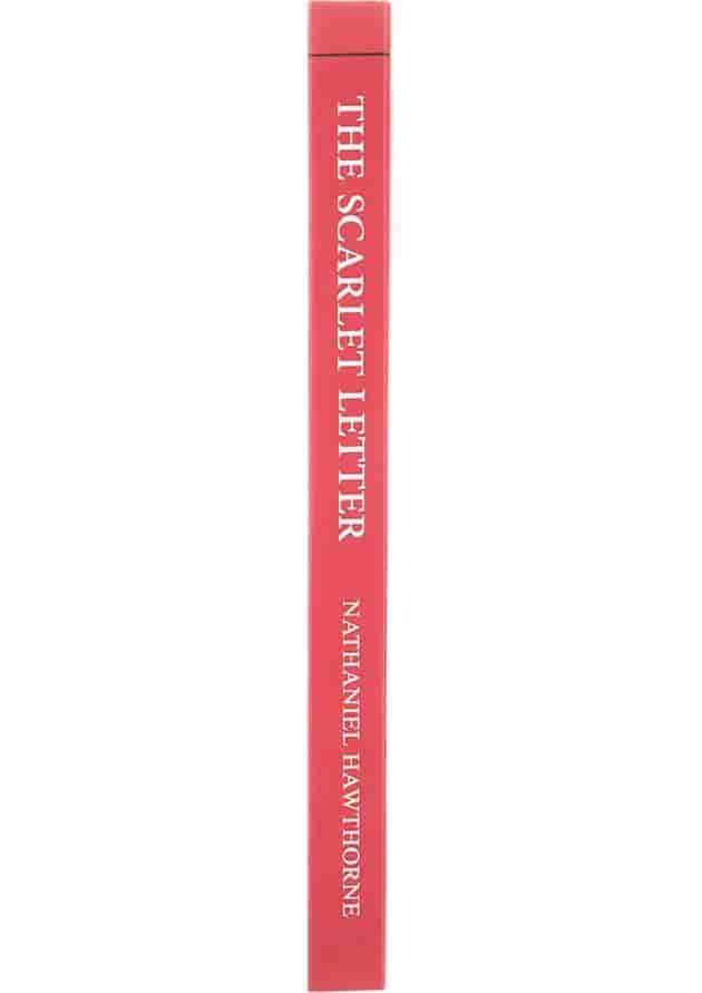 The Scarlet Letter The Scarlet Letter