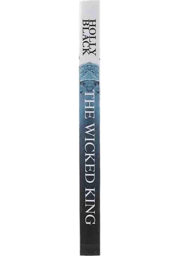 The Wicked King The Wicked King